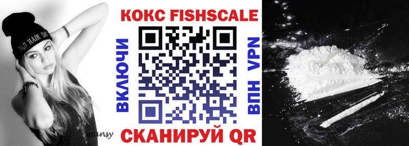 Кокаин FishScale  купить наркотик  Белокуриха 