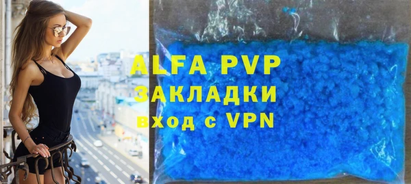 дживик Арсеньев