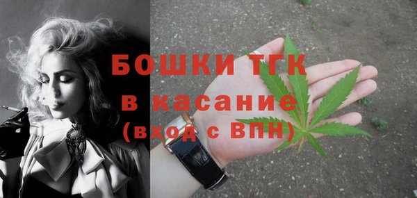 дживик Арсеньев
