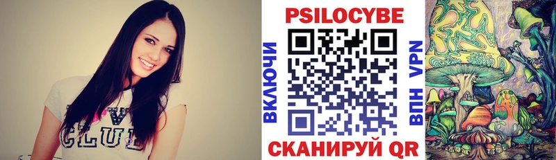 где купить наркоту  Белокуриха  Галлюциногенные грибы Psilocybe 