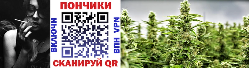 Каннабис конопля  Белокуриха 